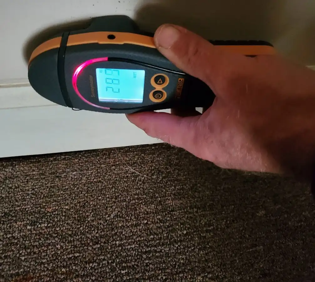 Moisture detection at baseboard during Sewage Cleanup & Sanitation in Exeter